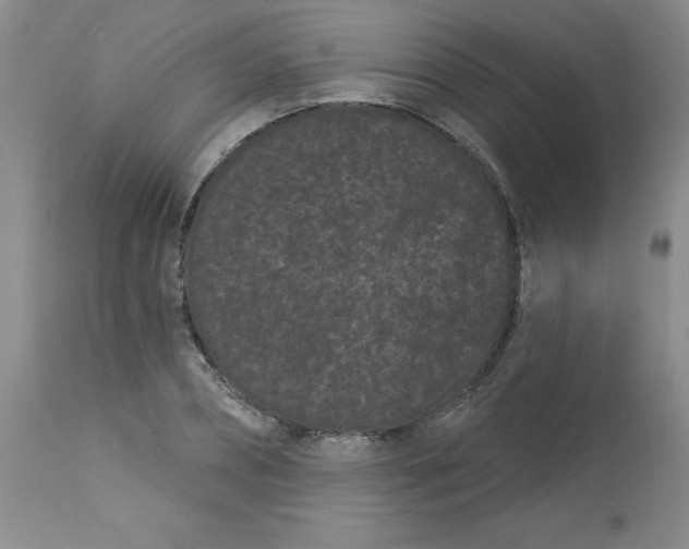 X0000113160882200909251349