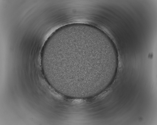 X0000113160883200909251349