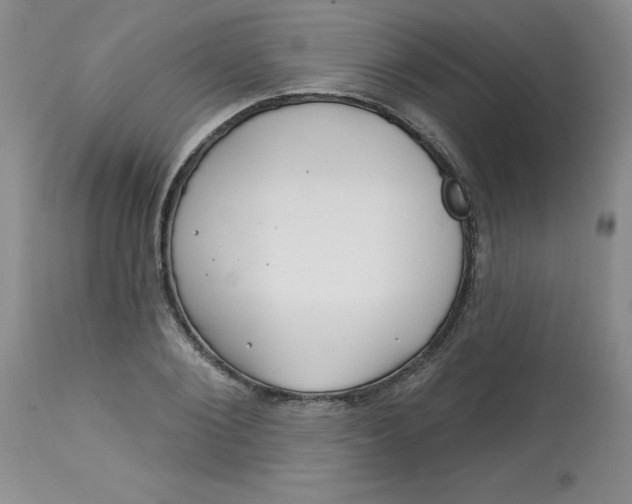 X0000113160884200909251349