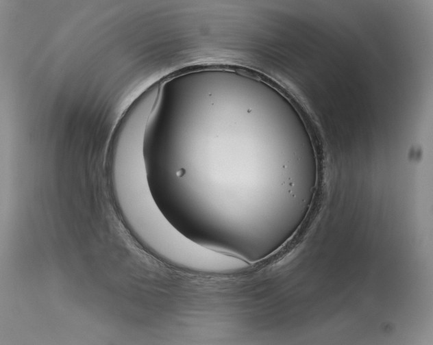 X0000113160885200909251349