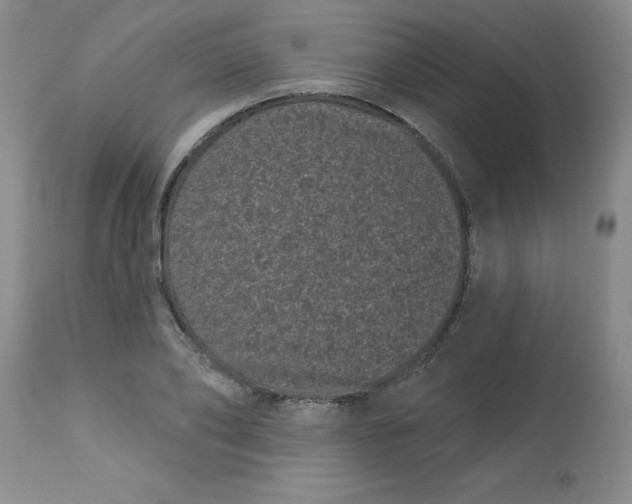 X0000113160886200909251349