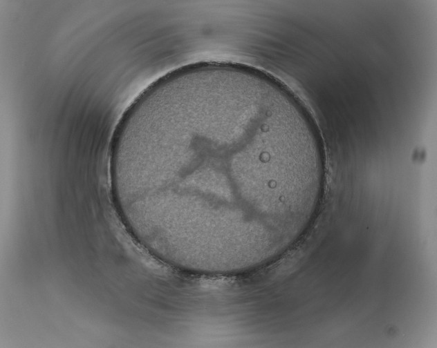 X0000113160887200909251349