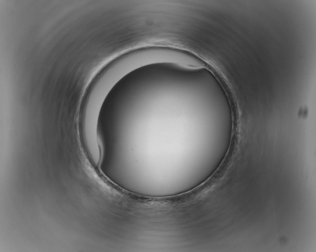 X0000113160888200909251349