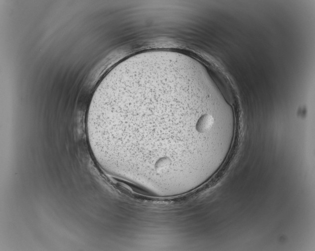 X0000113160889200909251349