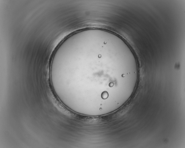 X0000113160891200909251349