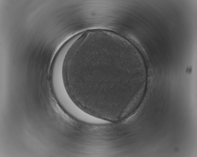 X0000113160892200909251349