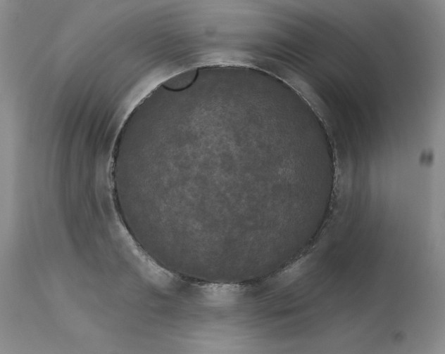 X0000113160893200909251349