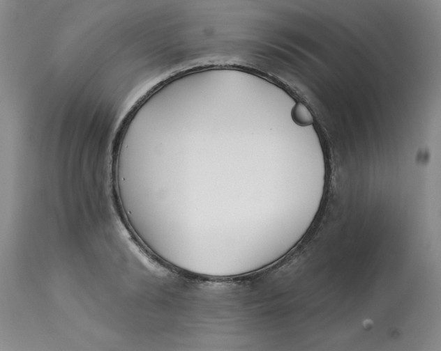 X0000113160894200909251349