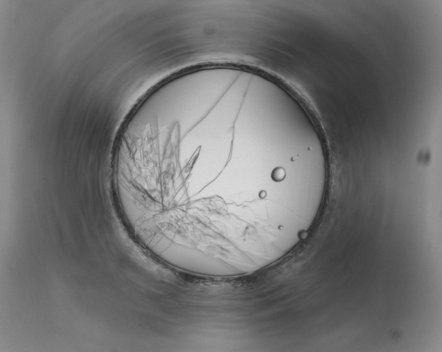 X0000113160895200909251349