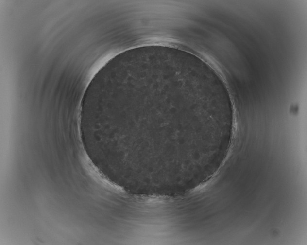 X0000113160899200909251349