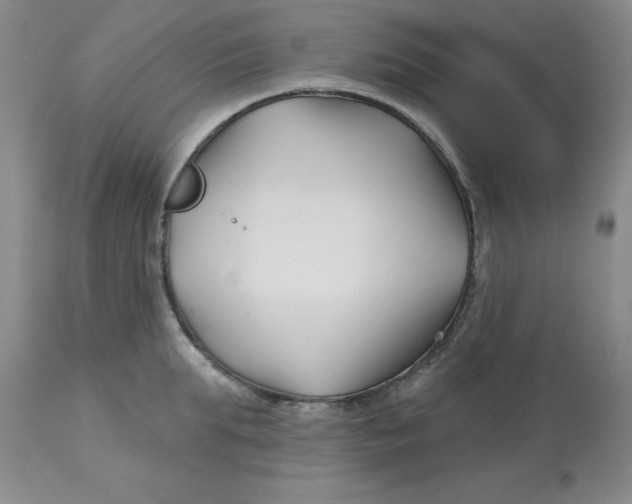 X0000113160903200909251349