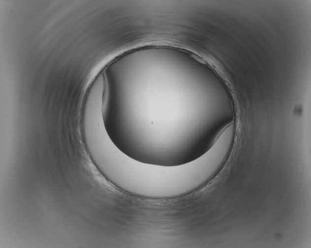 X0000113160904200909251349