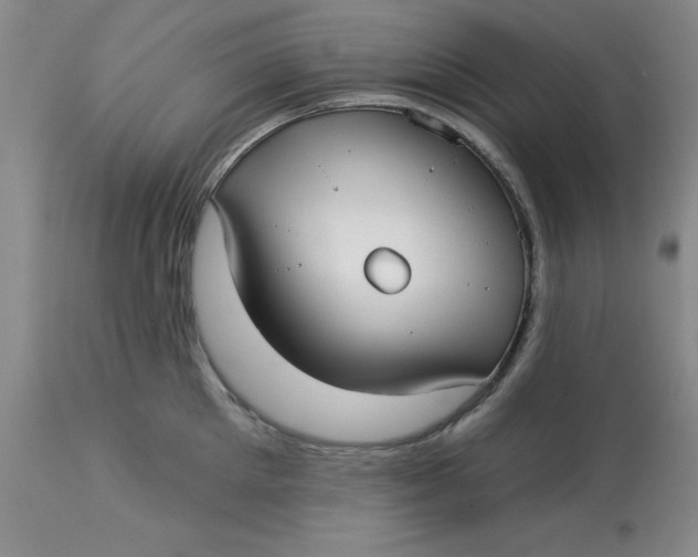 X0000113160905200909251349