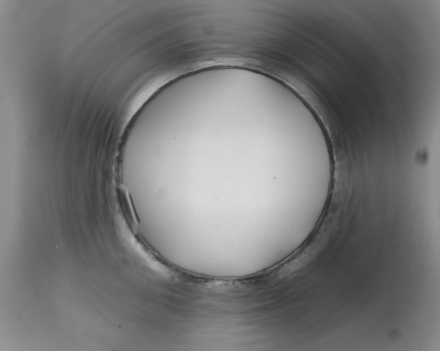 X0000113160906200909251349