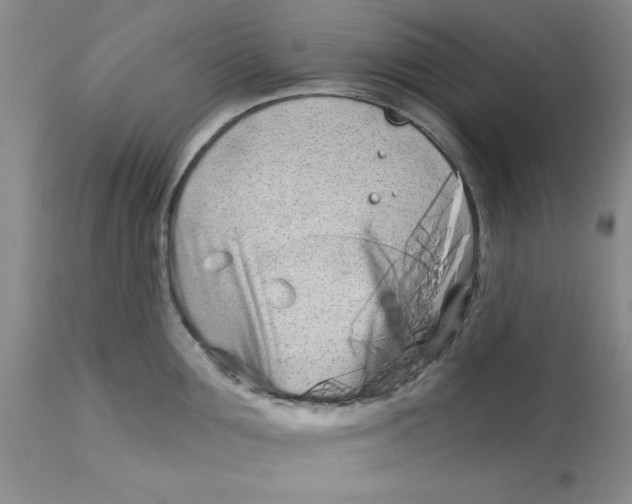 X0000113160907200909251349