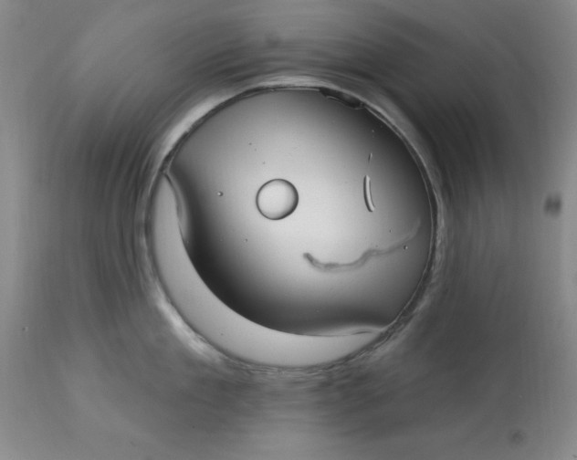 X0000113160909200909251349