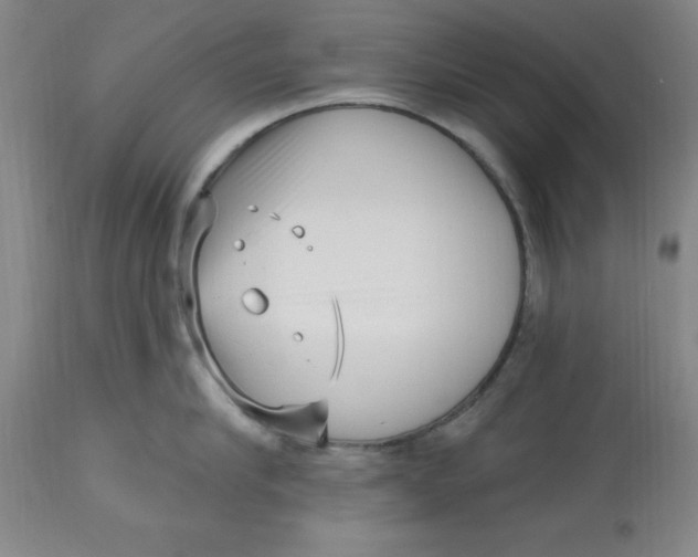 X0000113160910200909251349