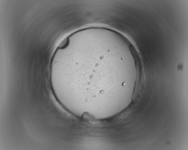 X0000113160911200909251349