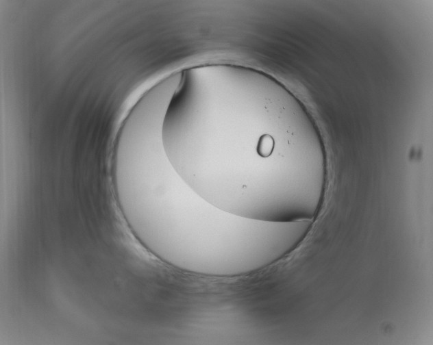 X0000113160912200909251349