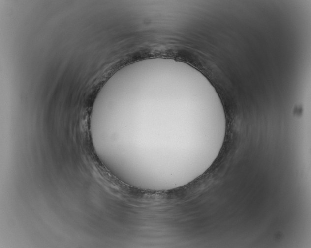 X0000113160914200909251348