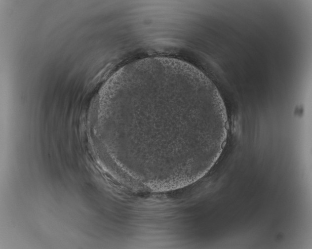 X0000113160915200909251348