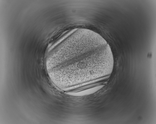 X0000113160916200909251348