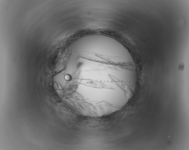 X0000113160917200909251348