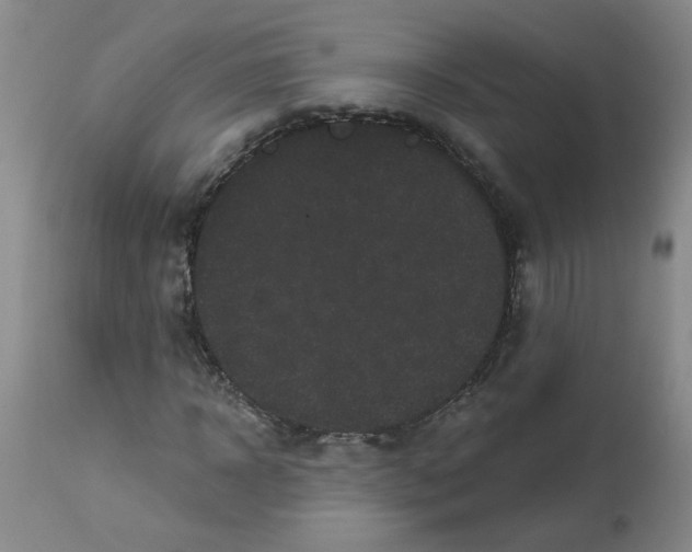 X0000113160918200909251348