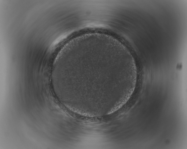 X0000113160919200909251348