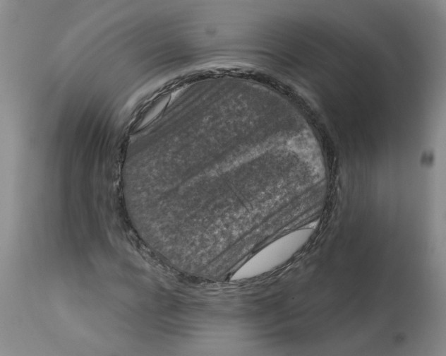 X0000113160920200909251348