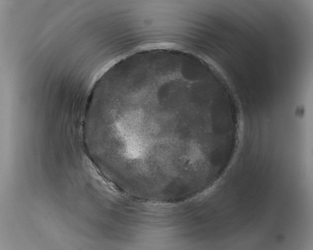 X0000113160921200909251348