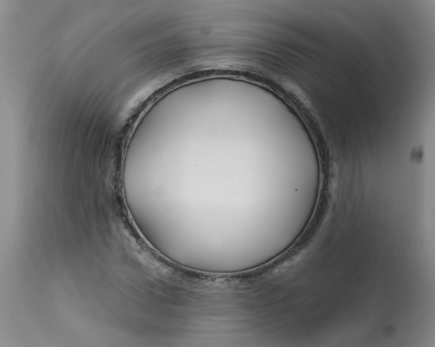 X0000113160922200909251348