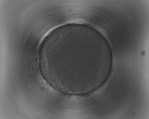 X0000113160923200909251348