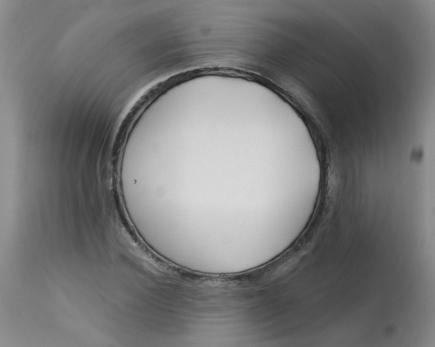 X0000113160924200909251348