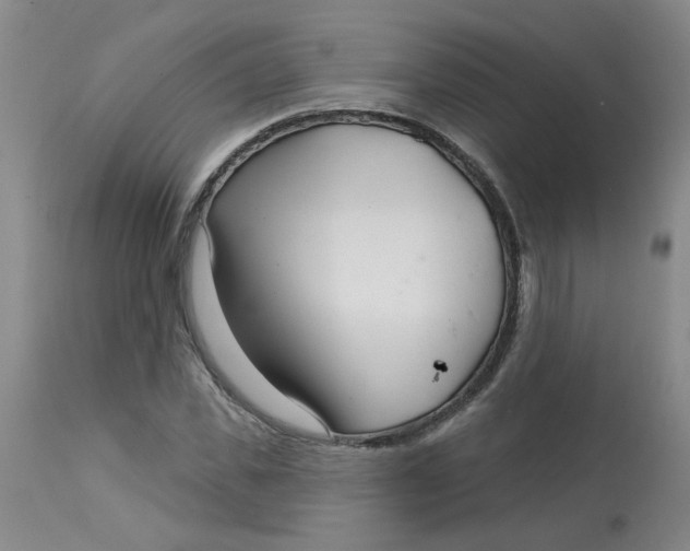 X0000113160925200909251348