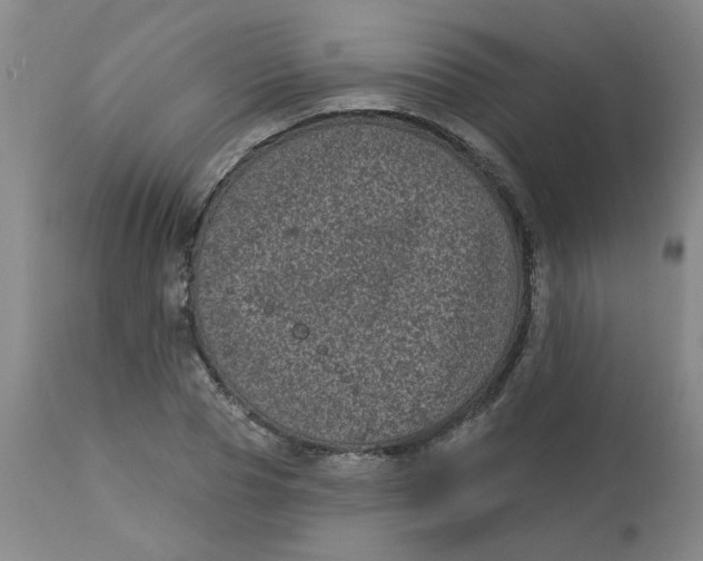 X0000113160929200909251348