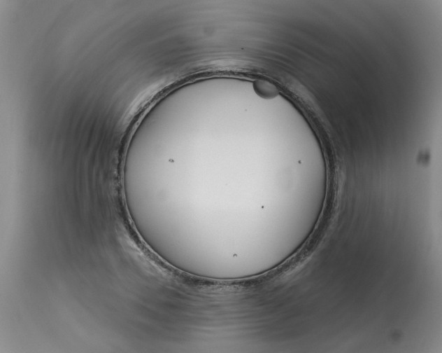 X0000113160930200909251348