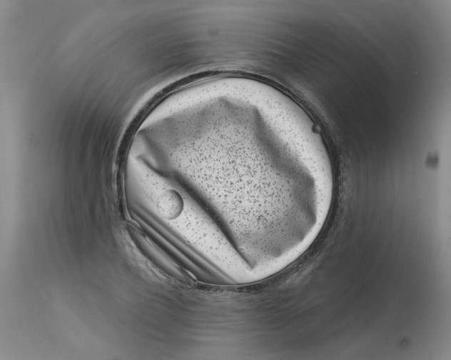 X0000113160932200909251348