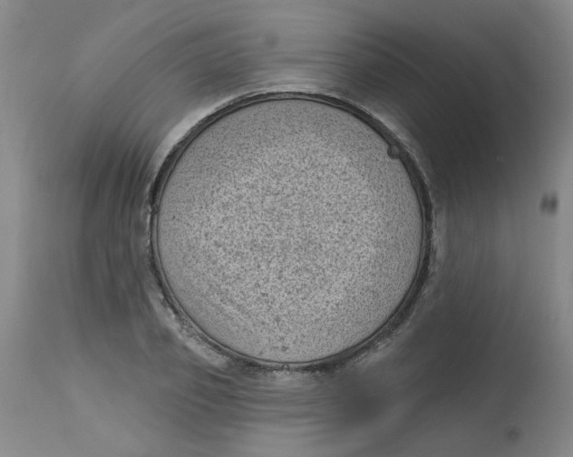 X0000113160933200909251348