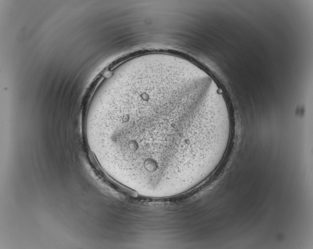 X0000113160934200909251348