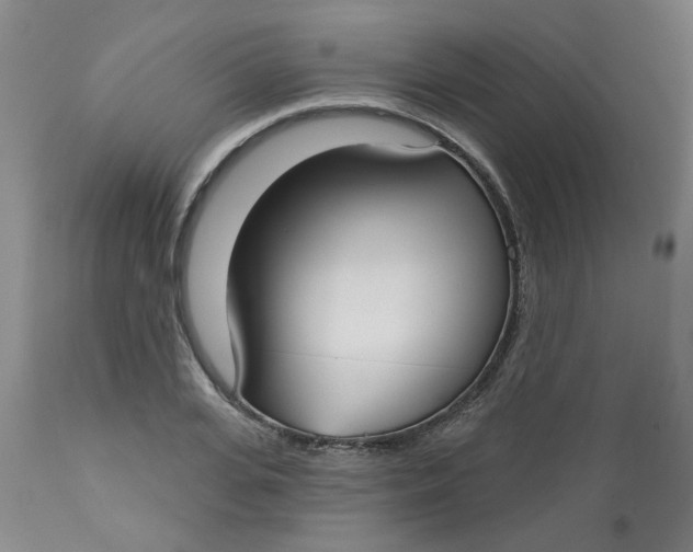 X0000113160935200909251348