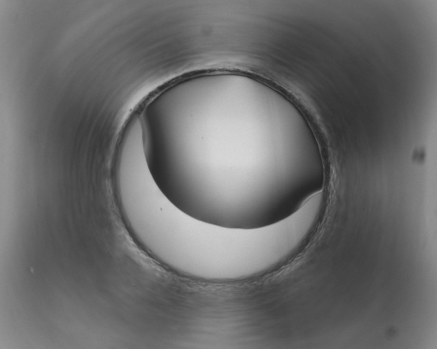 X0000113160936200909251348