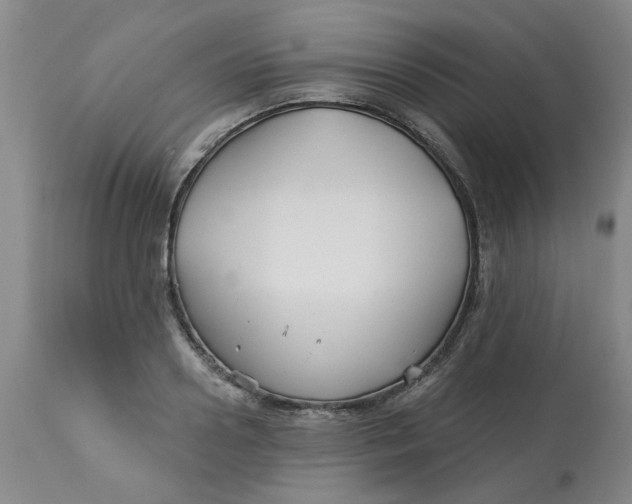 X0000113160938200909251348