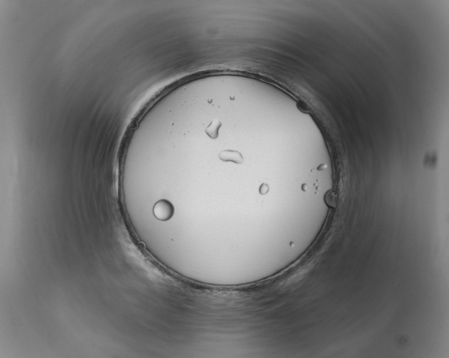 X0000113160940200909251348