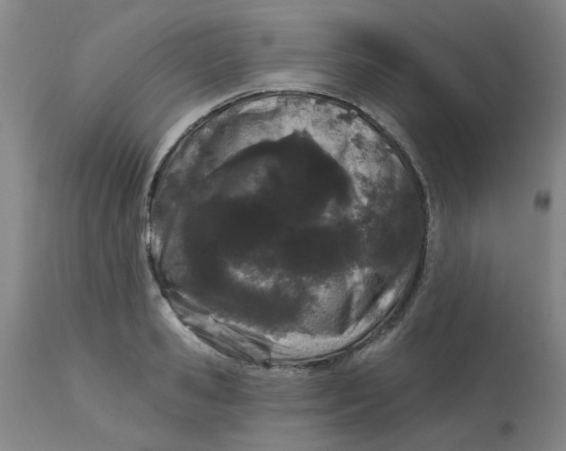 X0000113160941200909251348