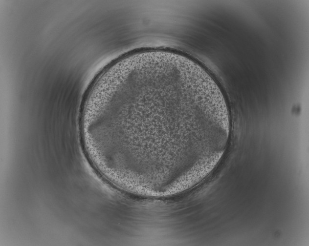 X0000113160943200909251348