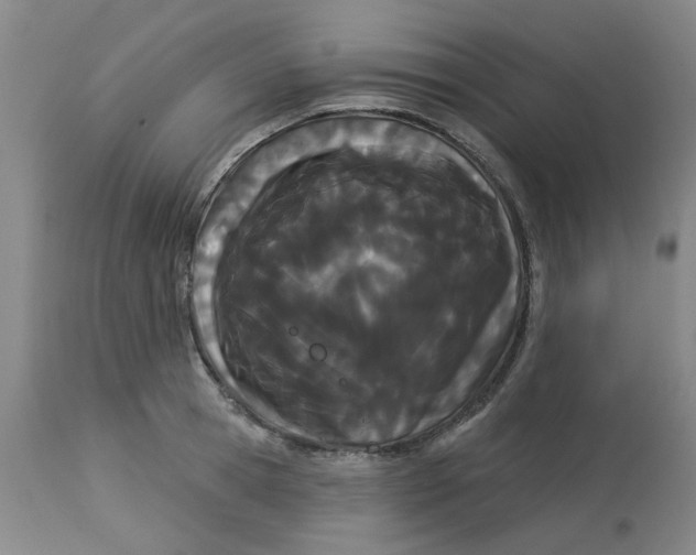 X0000113160945200909251348