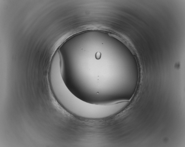 X0000113160946200909251348