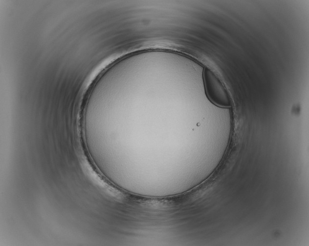 X0000113160947200909251348