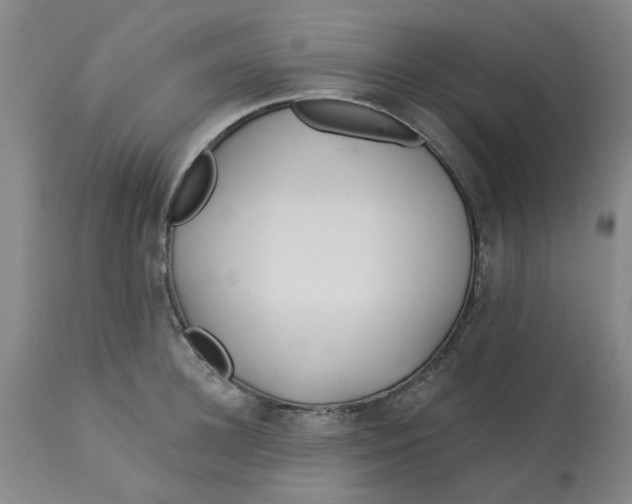 X0000113160948200909251348